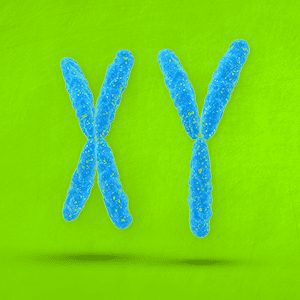 [A10new]- Italien- Epreuves bac corrigées (2009-2024)