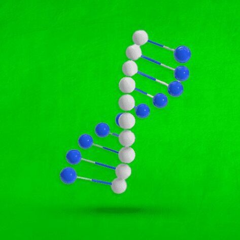 [G2new] تاريخ و جغرافيا - برنامج 2026 - منهجية إختبارات و فروض