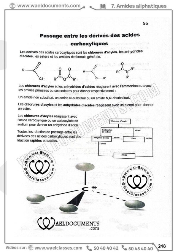 [L1] PHY- Cours pilote avec astuces - BAC SCIENCES EXP.
