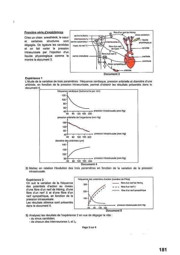[Z1new]- Epreuves SVT Bac corrigées 2009-2024, Bac Sciences Exp.