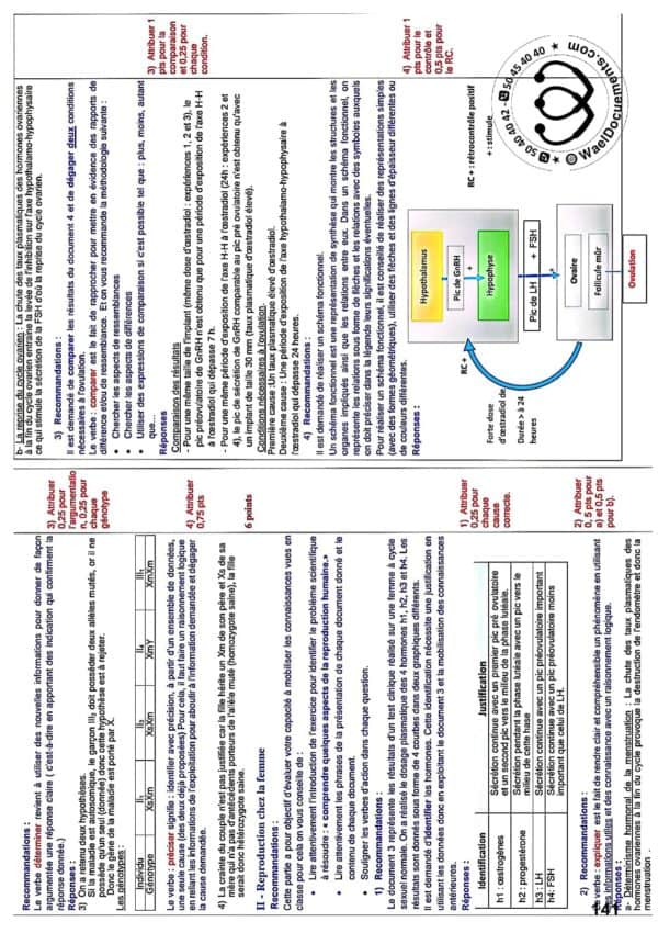 [Z9new]- SVT Bac Maths- Epreuves bac corrigées (2009-2024)