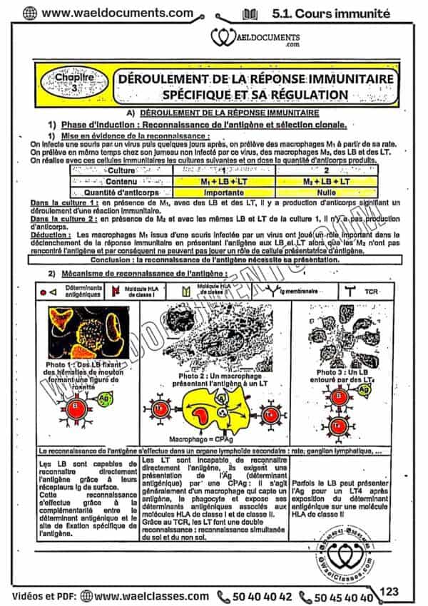 [S2new] SVT- Cours détaillé en couleurs tous les chapitres- Bac sciences