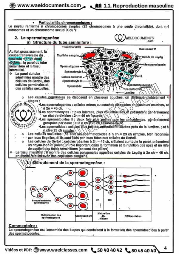 [S2new] SVT- Cours détaillé en couleurs tous les chapitres- Bac sciences