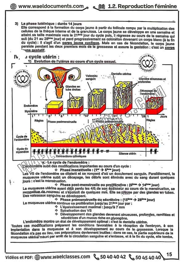 [S2new] SVT- Cours détaillé en couleurs tous les chapitres- Bac sciences