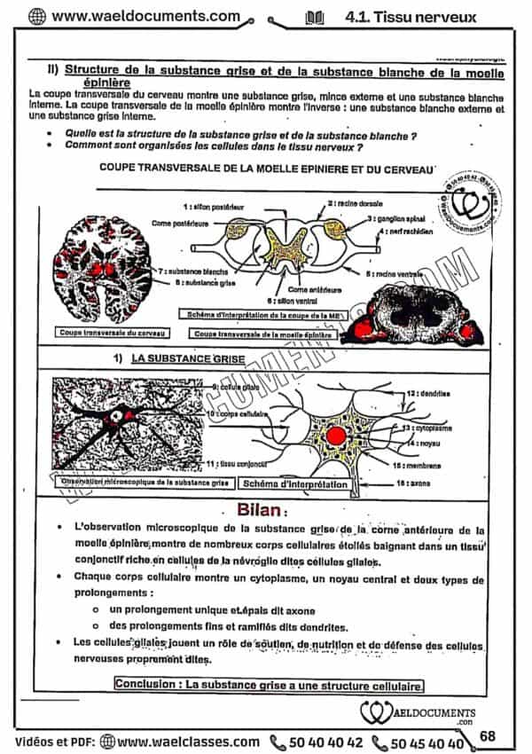 [S2new] SVT- Cours détaillé en couleurs tous les chapitres- Bac sciences