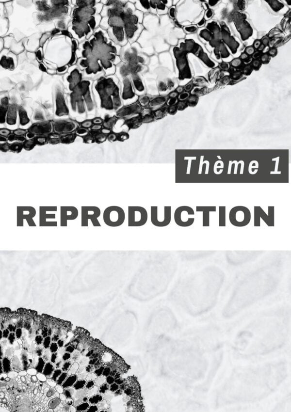 [S3new] SVT- Exercices niveau moyen QCM et CROQ corrigés- Bac sciences