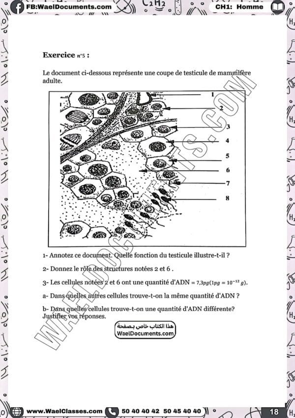 [S3new] SVT- Exercices niveau moyen QCM et CROQ corrigés- Bac sciences