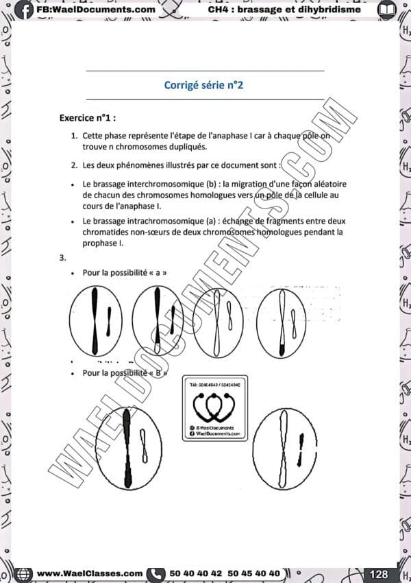 [S3new] SVT- Exercices niveau moyen QCM et CROQ corrigés- Bac sciences