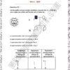 [S3new] SVT- Exercices niveau moyen QCM et CROQ corrigés- Bac sciences