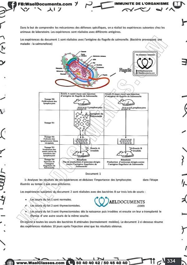 [S4new] SVT- Exercices niveau moyen et exercices d'analyse corrigés- Bac sciences