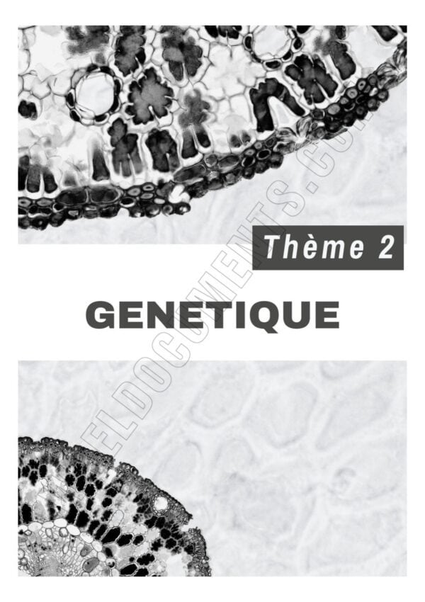 [S4new] SVT- Exercices niveau moyen et exercices d'analyse corrigés- Bac sciences
