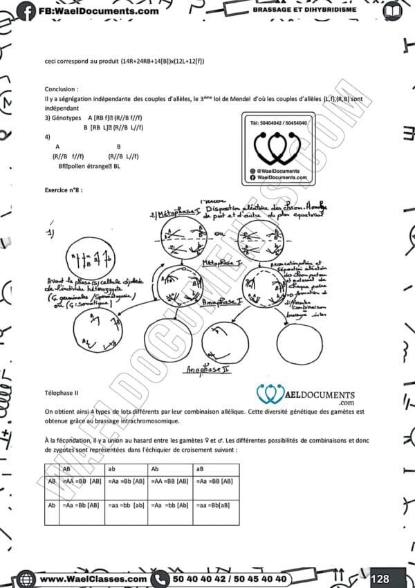 [S4new] SVT- Exercices niveau moyen et exercices d'analyse corrigés- Bac sciences