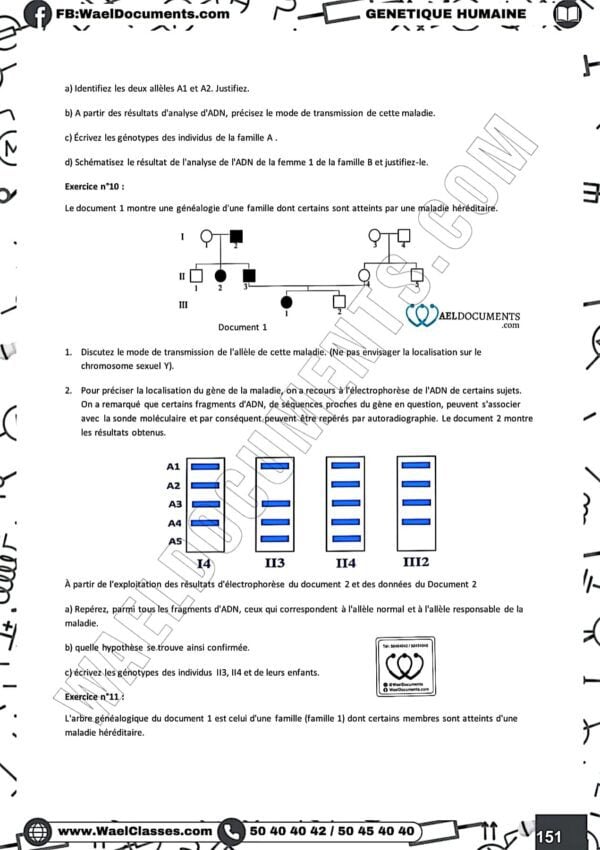 [S4new] SVT- Exercices niveau moyen et exercices d'analyse corrigés- Bac sciences