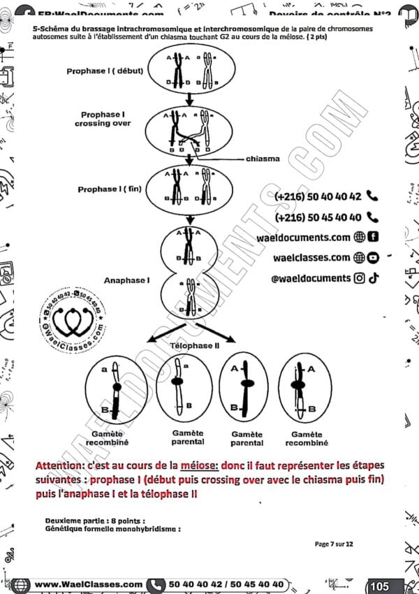 [S6new] SVT- Devoirs autres pilotes corrigés en détail- Bac sciences