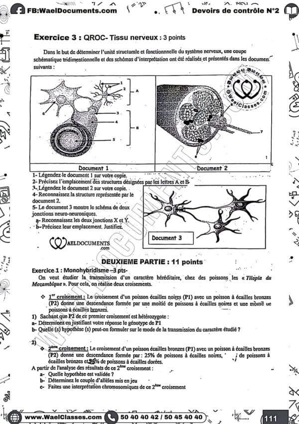 [S6new] SVT- Devoirs autres pilotes corrigés en détail- Bac sciences