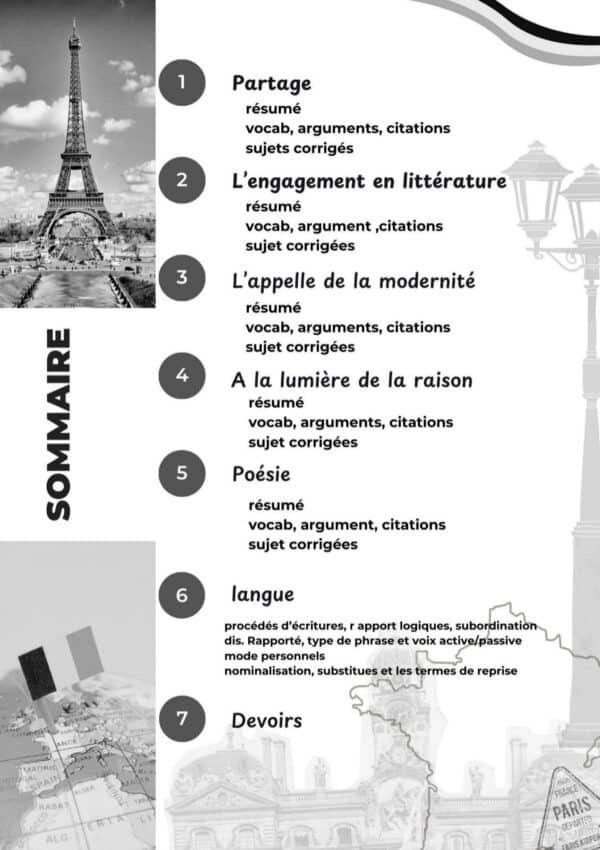 [L6new] Français- Résumés et arguments, langue, compréhension, méthodologie et exercices corrigés- Bac Lettres