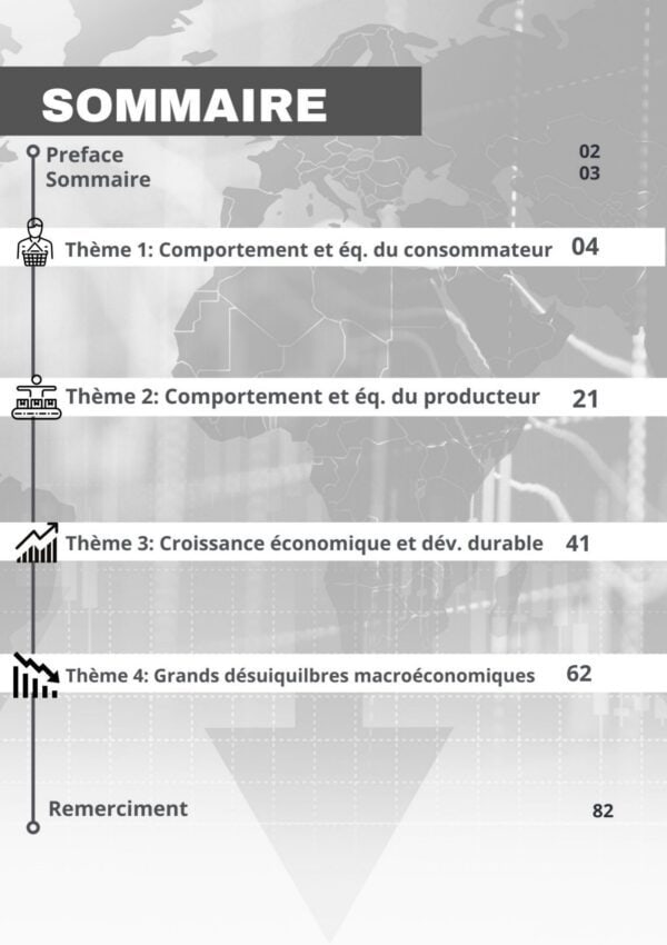 [E2new] économie-résumés de cours-bac économie