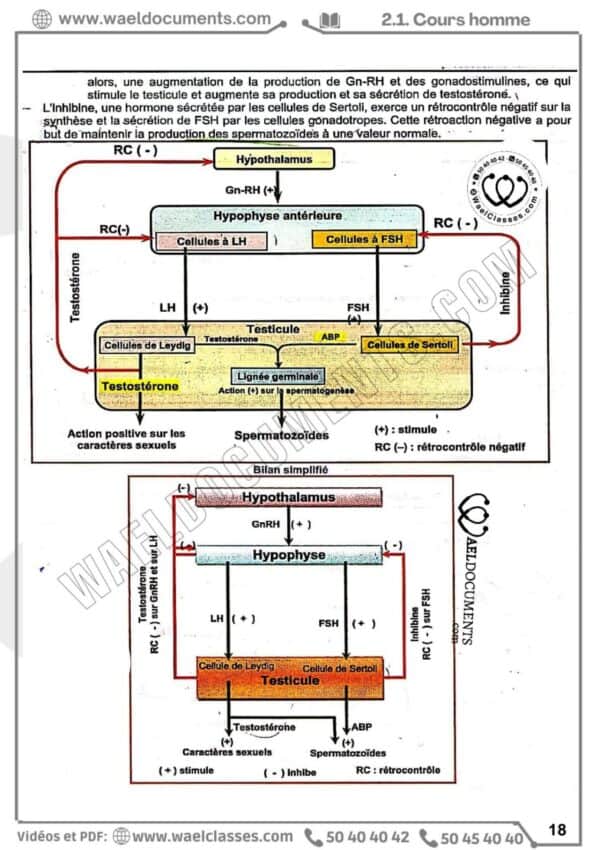 [H7new] SVT- Cours et séries pilote corrigés- Bac maths