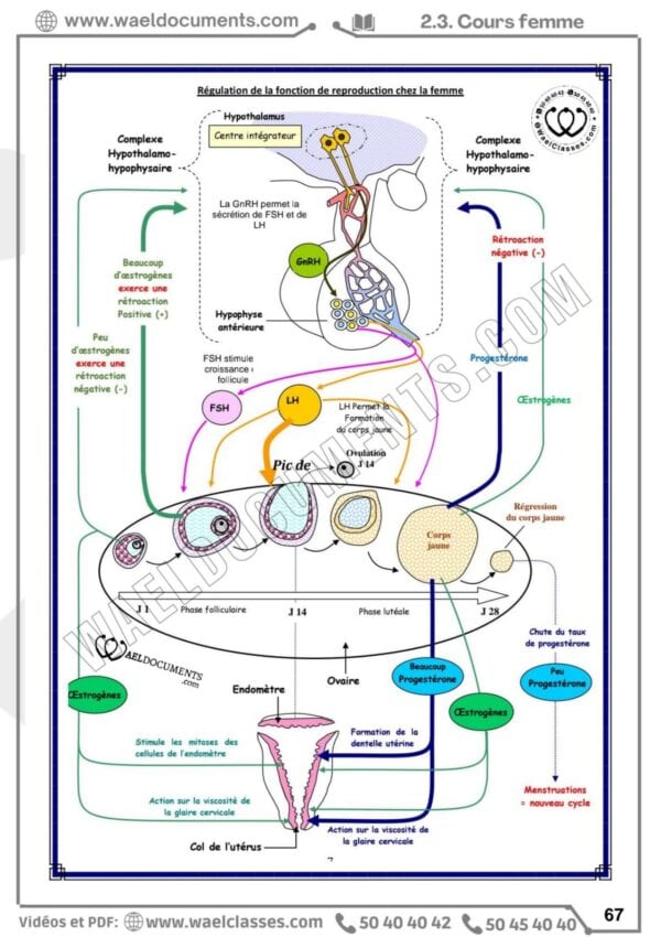 [H7new] SVT- Cours et séries pilote corrigés- Bac maths