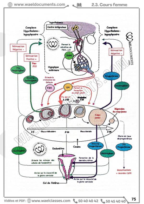 [H7new] SVT- Cours et séries pilote corrigés- Bac maths