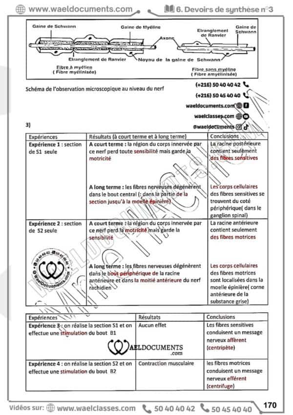 [H8new] SVT-Devoirs pilotes corrigés- Bac maths