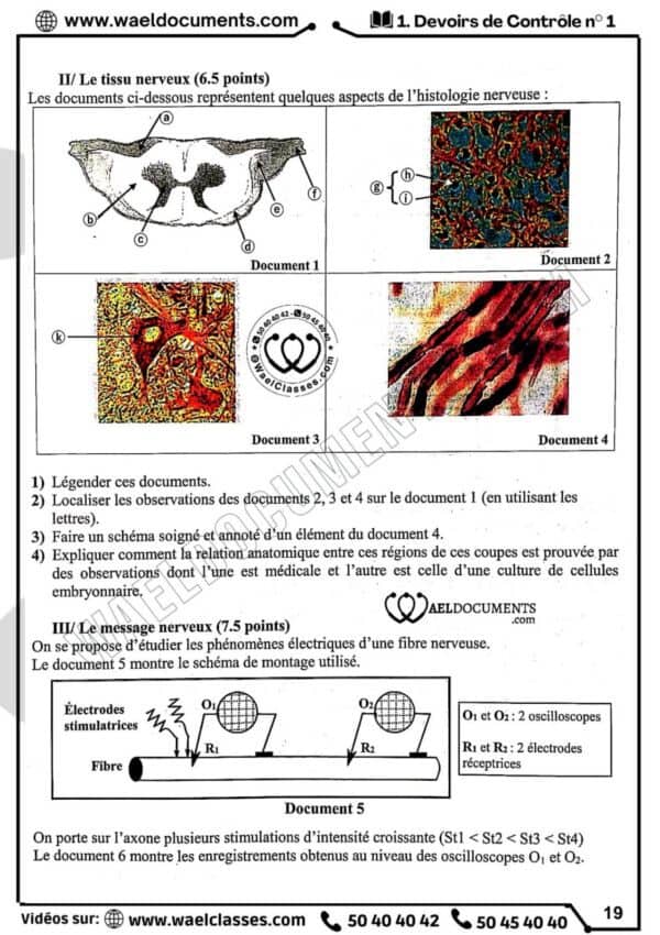 [H8new] SVT-Devoirs pilotes corrigés- Bac maths