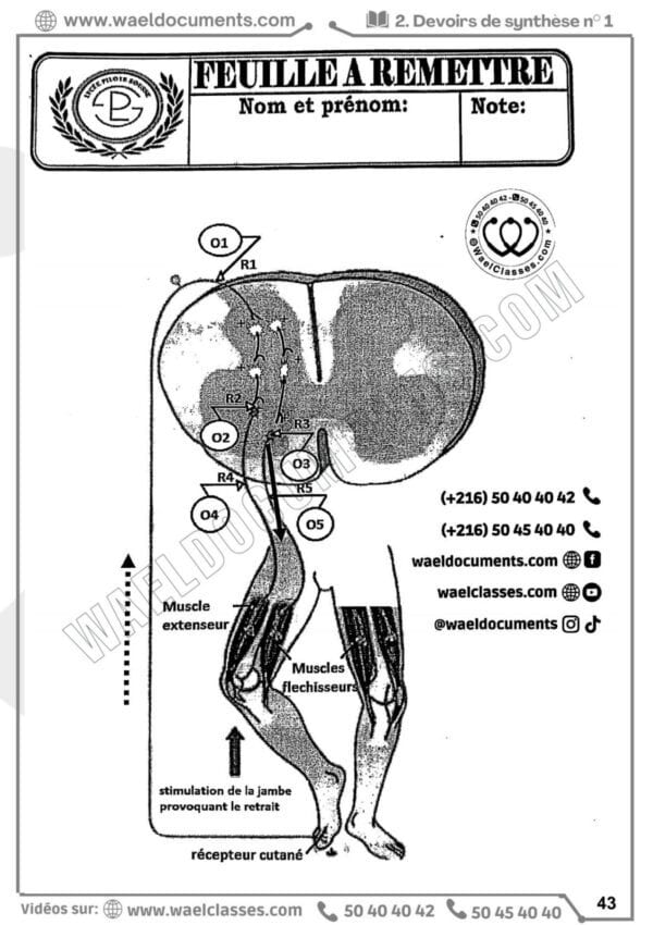[H8new] SVT-Devoirs pilotes corrigés- Bac maths