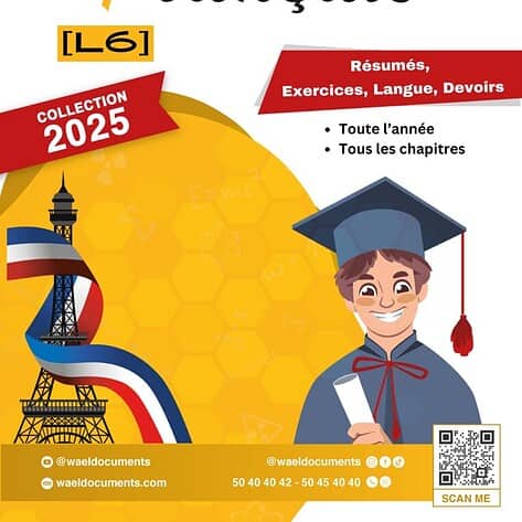 [L6new] Français- Résumés et arguments, langue, compréhension, méthodologie et exercices corrigés- Bac Lettres