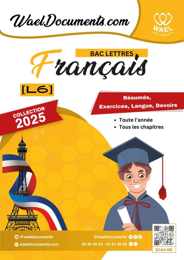 [L6new] Français- Résumés et arguments, langue, compréhension, méthodologie et exercices corrigés- Bac Lettres