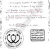 [P2new] Physiques- Résumés tous les chapitres et explications en derja- Bac sciences
