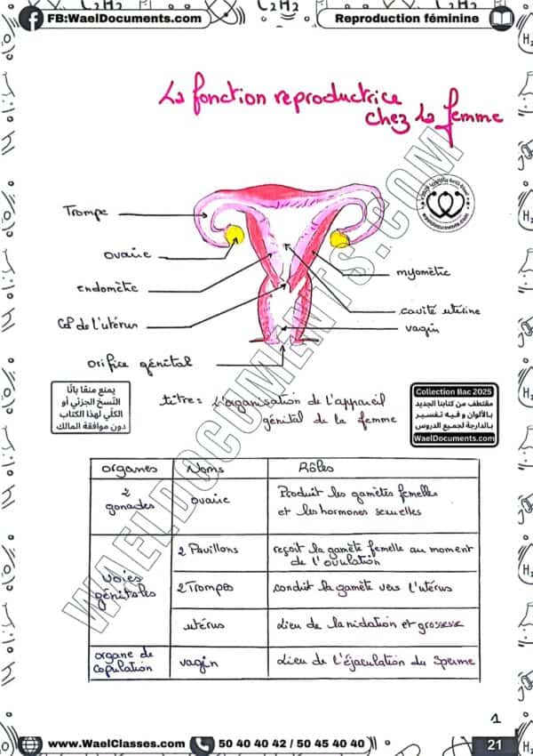 [S1new] SVT-Résumés expliqués, des questions-réponses et explications en derja en couleurs-Bac sciences