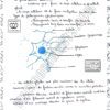 [S1new] SVT-Résumés expliqués, des questions-réponses et explications en derja en couleurs-Bac sciences
