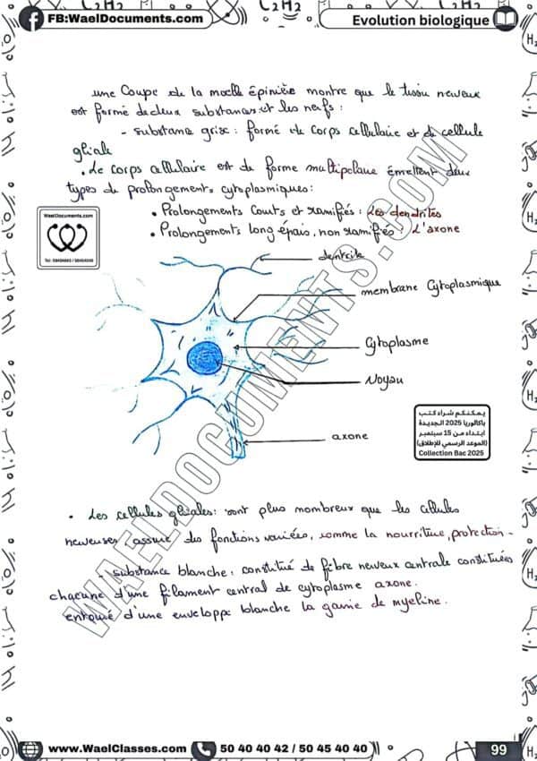 [S1new] SVT-Résumés expliqués, des questions-réponses et explications en derja en couleurs-Bac sciences