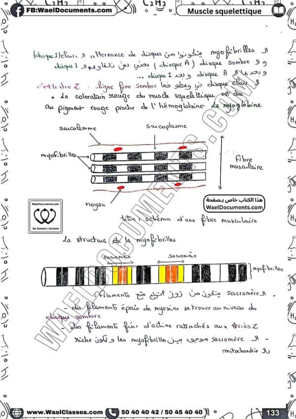 [S1new] SVT-Résumés expliqués, des questions-réponses et explications en derja en couleurs-Bac sciences